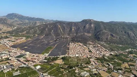 Zona afectada por el incendio