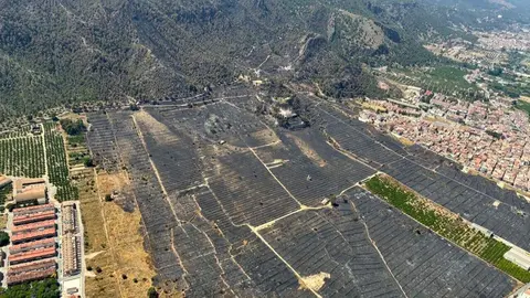 Zona afectada por el incendio