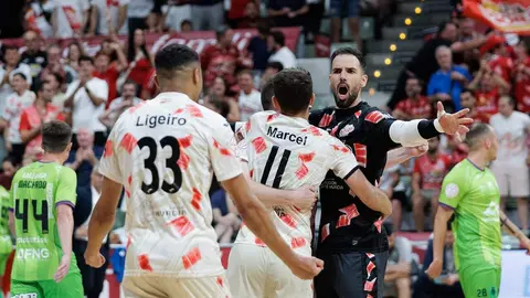 Jugadores de ElPozo celebran la victoria en el Palacio | Foto: ElPozo Murcia FS