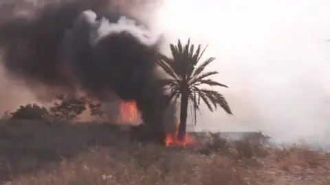 Una hoguera "descontrolada" ha provocado un incendio en Cartagena (foto: La 7)