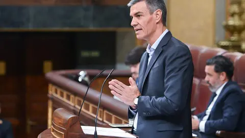 Pedro S&aacute;nchez comparece en el Congreso | Foto: Europa Press