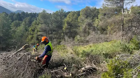 Operarios ejecutando actuaciones de emergencia en los montes de Ricote.