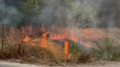 Incendio de matorral entre El Palmar y Sangonera la Verde (foto: La 7)