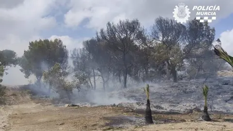 Estabilizado el incendio en la Sierra de Columbares de la pedan&iacute;a murciana de Gea y Truyols (foto: Polic&iacute;a Local de Murcia)