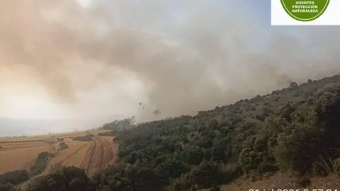 La Regi&oacute;n env&iacute;a un helic&oacute;ptero para colaborar en la extinci&oacute;n del incendio forestal de Teruel
- GOBIERNO DE ARAG&Oacute;N