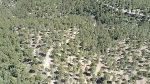 Sierra de Lavia, en el municipio de Ceheg&iacute;n
