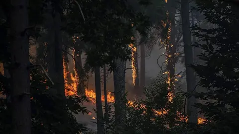 Vista del incendio cerca de la Charca de la Nieta en &Aacute;vila (foto: EP)