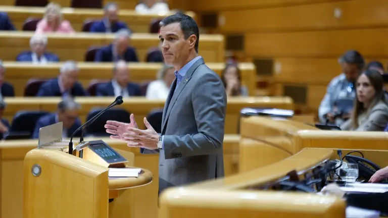 Pedro S&aacute;nchez, en el Senado