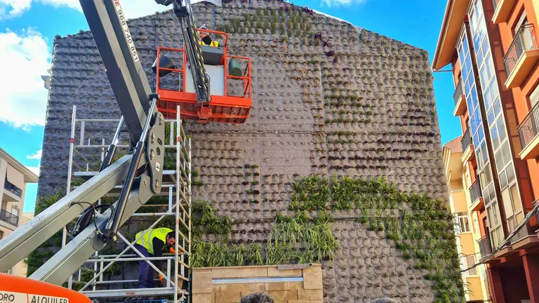 Caravaca crea el jard&iacute;n vertical m&aacute;s grande la Regi&oacute;n formado por m&aacute;s de dos mil plantas de veinte especies