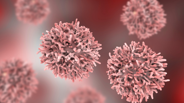 Investigadores confirman el potencial preventivo de la dieta frente al c&aacute;ncer de pr&oacute;stata, mama y colon-recto