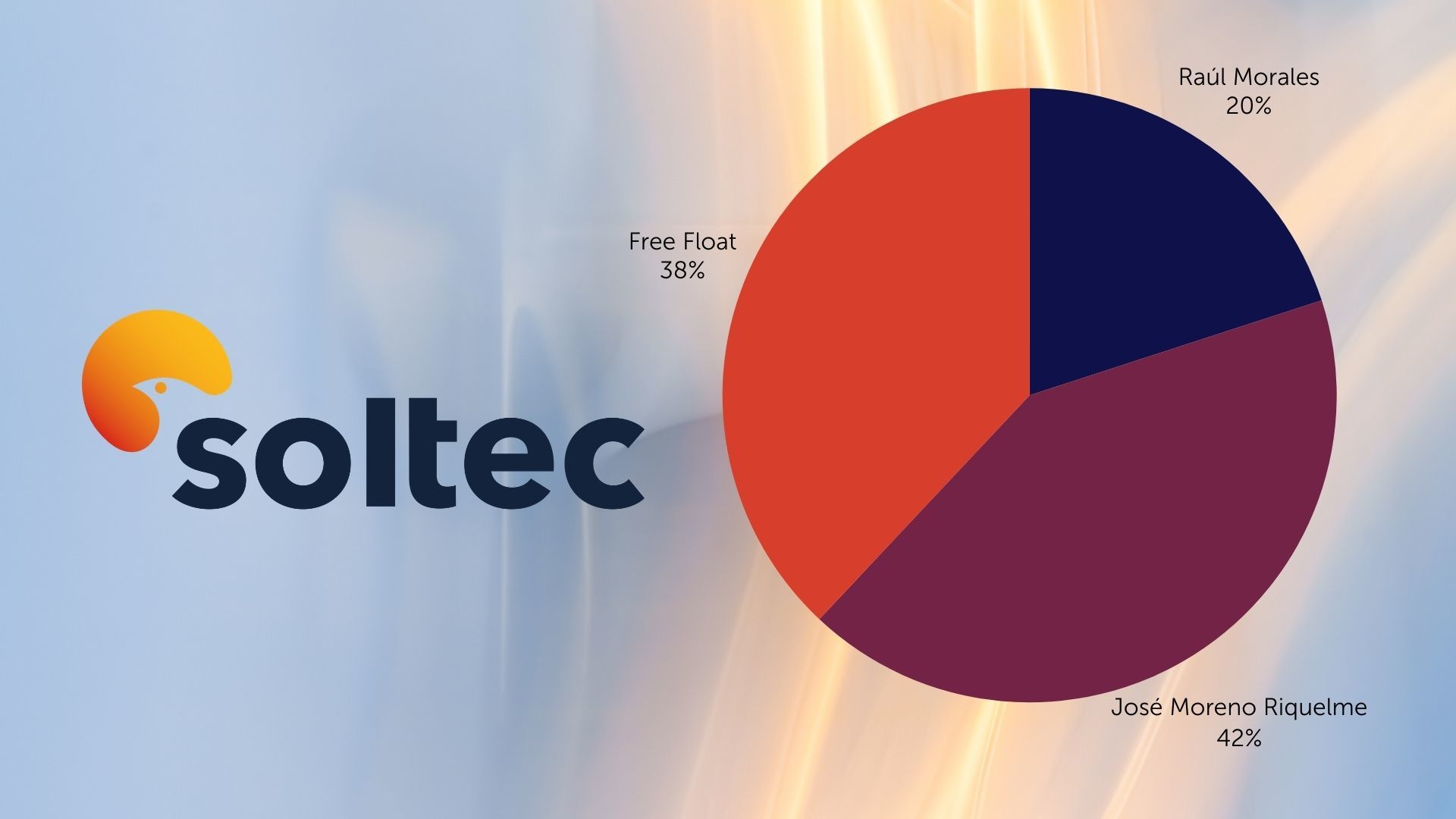 Distribución del capital en Soltec