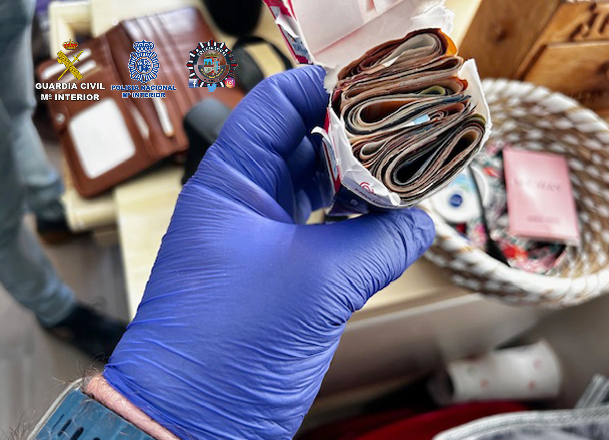 Material incautado (foto: GC)