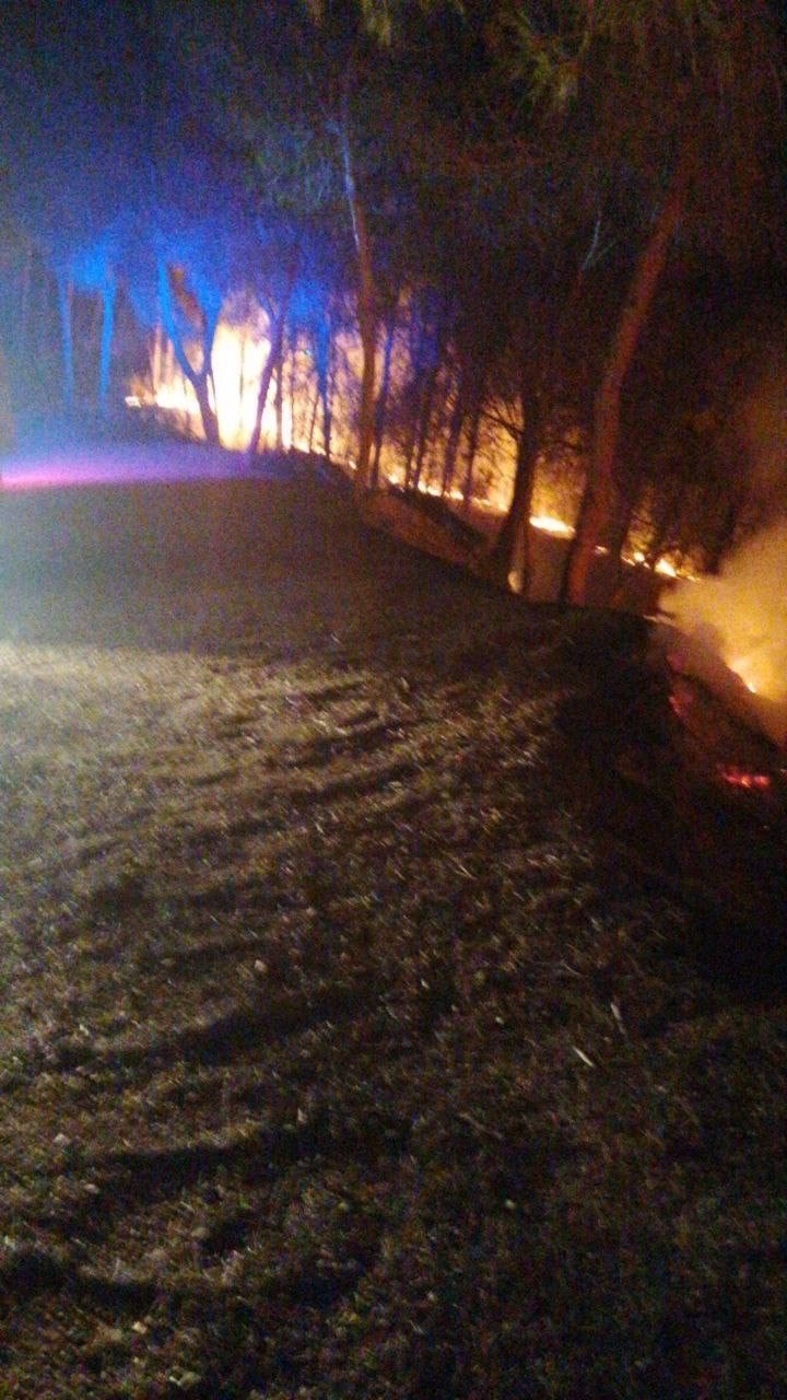 Conato de incendio en la madrugada de este martes (foto: 1-1-2)