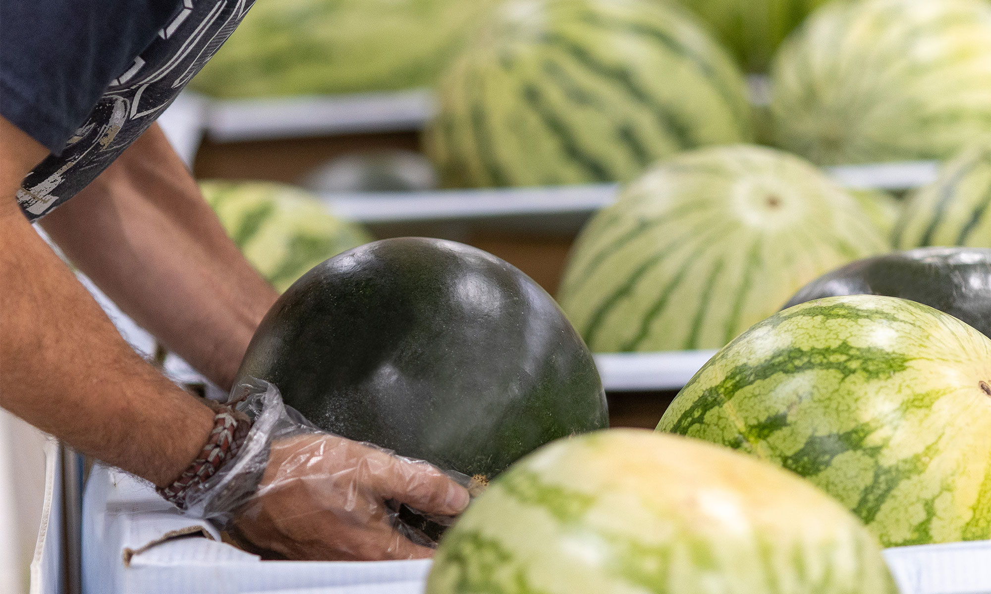 Sandía entera en la sección de Fruta y Verdura de Mercadona (foto: Mercadona)