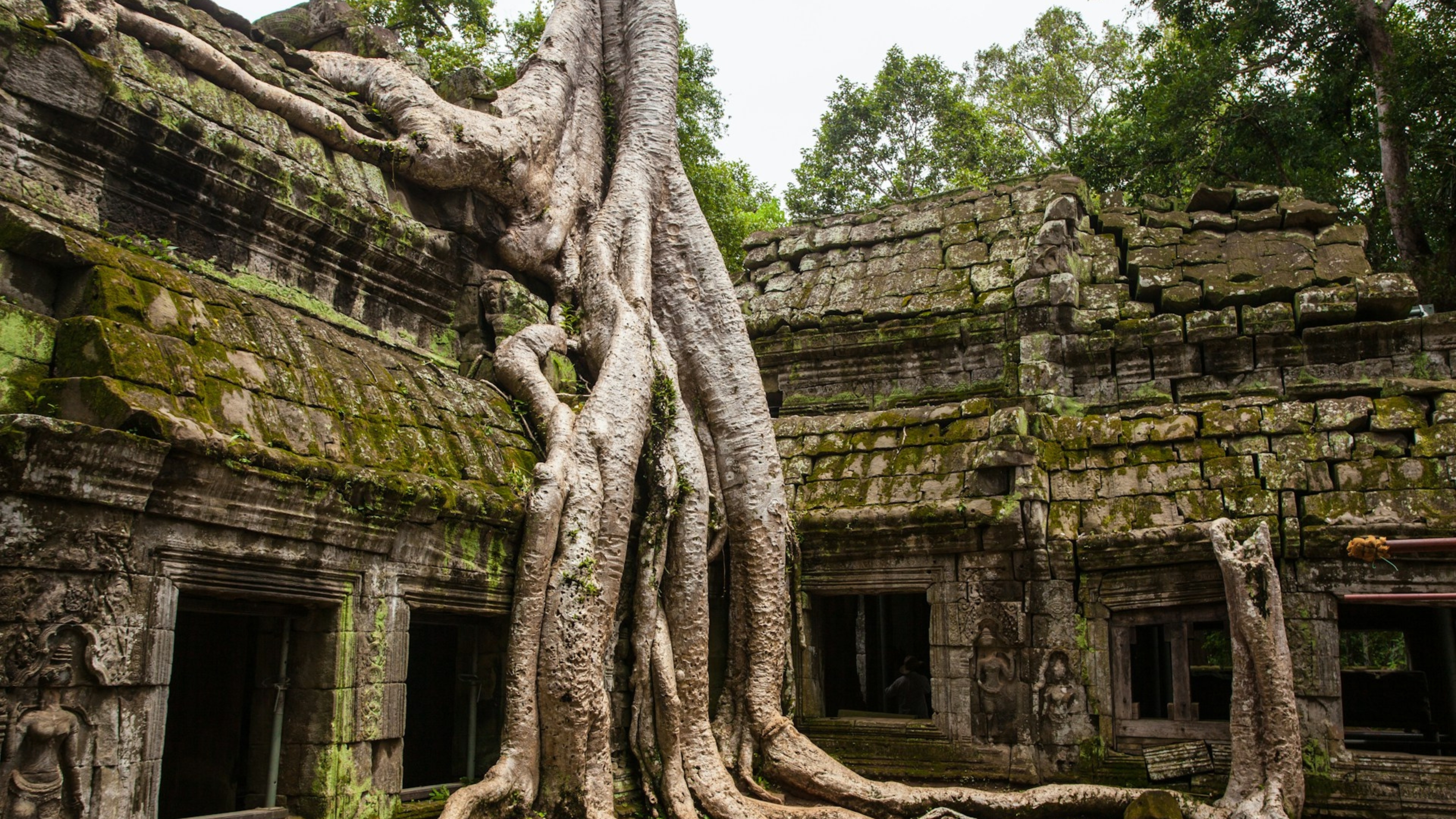 Camboya
